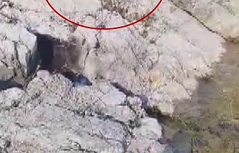 Malatya'da balıkçı ile kedinin diyaloğu gülümsetti: O anlar viral oldu!