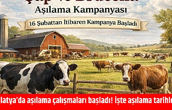 Malatya'da aşılama çalışmaları başladı! İşte aşılama tarihleri