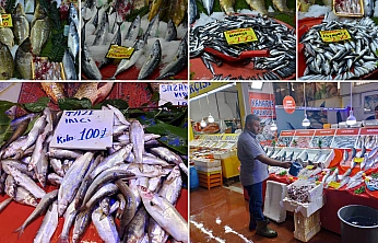 Malatya'da balık fiyatları dibi gördü: Fiyatlar 100 TL'ye düştü