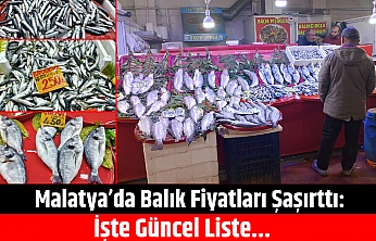 Malatya'da Balık Fiyatları Şaşırttı: İşte Güncel Liste