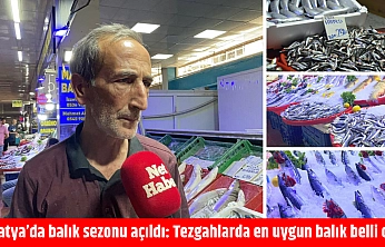 Malatya'da balık sezonu açıldı: Tezgahlarda en uygun balık belli oldu