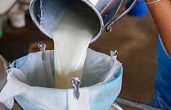 Malatya'da çiğ süt fiyatları belli oldu
