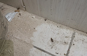 Malatya'da fırına haşere ve kükürt iddiası: Zabıta harekete geçti