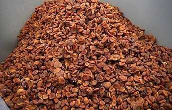 Malatya'da fiyatı üçe katlandı! Üreticide 270 TL Markette 750 TL