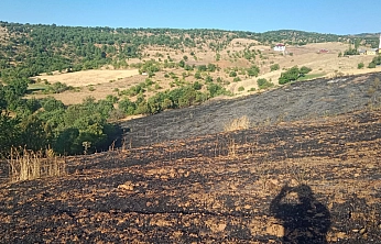 Malatya'da korkutan yangın: 2 ev kül oldu, 20 dönüm bahçe zarar gördü