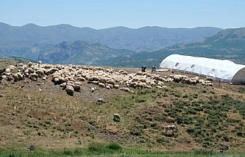 Malatya'da mera alanları yüzde 7,1 arttı