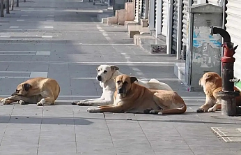 Malatya'da belediyeler Eylül'de denetlenecek