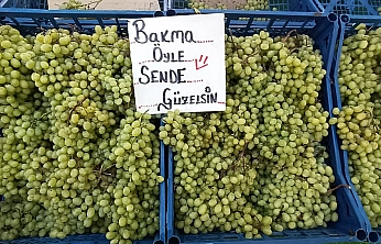 Malatya'da salça ve kurutmalık telaşı: Vatandaşın tercihi yine semt pazarları oldu