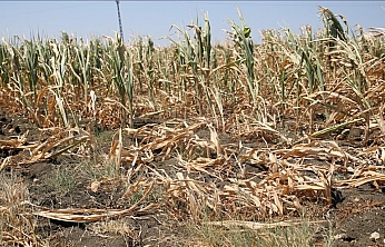 Malatya'da Su Krizine Barajlı Çözüm: İşte Detaylar