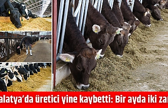 Malatya'da üretici yine kaybetti: Bir ayda iki zam!