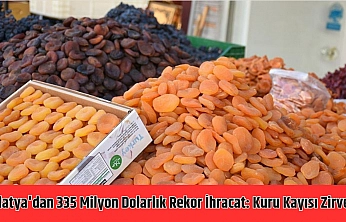 Malatya'dan 335 milyon dolarlık rekor ihracat: Kuru kayısı zirvede