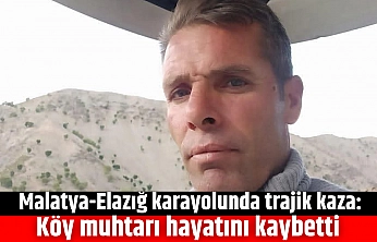 Malatya-Elazığ Karayolunda Trajik Kaza: Köy Muhtarı Hayatını Kaybetti