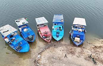 Malatya'nın gelir kapısı oldu: Günlük 2 ton toplanıyor, Ortadoğu ülkelerine satılıyor…