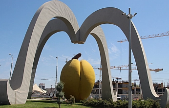 Malatya'nın gururuyla oynandı: İstanbul, Ankara, İzmir ve toptancılarda kaçak kayısı alarmı!