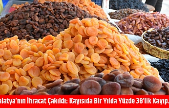 Malatya'nın ihracat çakıldı: Kayısıda bir yılda yüzde 38'lik kayıp…