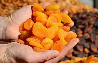 Malatya'nın ihracatı düşüyor…