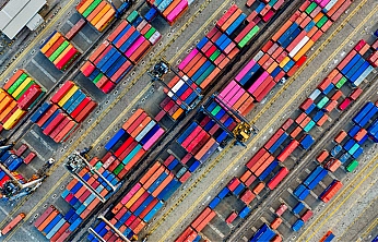 Malatya'nın kaybı 57 milyon dolar | Kayısı Dondu, İhracat düştü