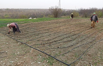 Malatya'nın yeni 'Altın'ı: Gramı 600 liradan satışa sunuldu!