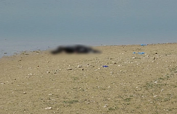 Piknik yapanlar fark etti! Pınarbaşı Göleti'nde erkek cesedi bulundu