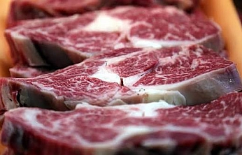 Mazot ve yem uçtu: Malatyalı besici çıkmazda!