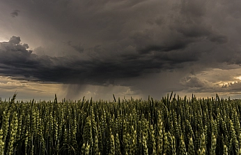 Malatyalılar dikkat! Gün boyu yağış bekleniyor…