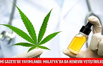 Resmi Gazete'de yayımlandı: Malatya'da da kenevir yetiştirilecek…
