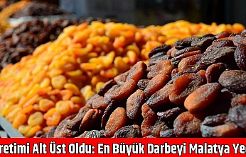 Üretimi alt üst oldu: en büyük darbeyi Malatya yedi!