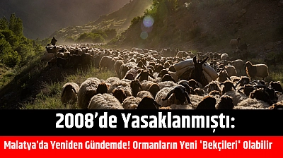 2008'de yasaklanmıştı: Malatya'da Yeniden Gündemde! Ormanların Yeni 'Bekçileri' Olabilir