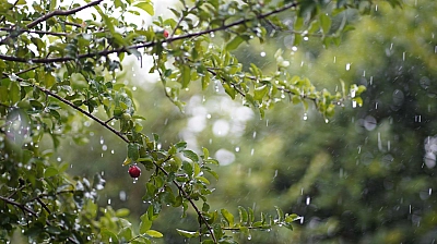 Dün sular altında kalan Malatya'yı meteoroloji uyardı! Bugüne de dikkat...