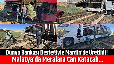Dünya Bankası Desteğiyle Mardin'de Üretildi! Malatya'da Meralara Can Katacak...