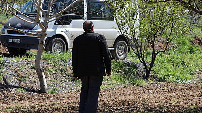 Kayısı üreticilerine kritik uyarı: Malatya'da ağaçlar boş kalabilir! Sakın ihmal etmeyin…