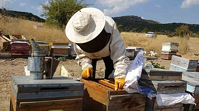 Malatya'da 150 kovandan çıkan bal yok sattı