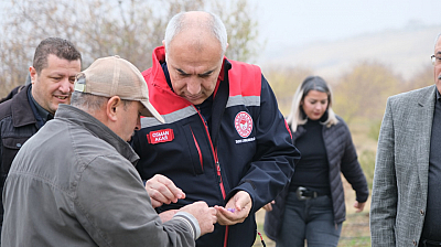 Malatya'da 2017 yılından 3 dekarlık alana ekti! Üretimi her geçen yıl bereketleniyor…
