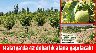 Malatya'da 42 dekarlık proje! Üretime katkı sağlayacak
