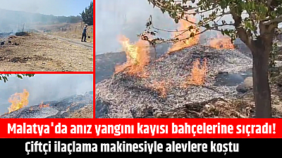 Malatya'da anız yangını kayısı bahçelerine sıçradı! Çiftçi ilaçlama makinesiyle alevlere koştu