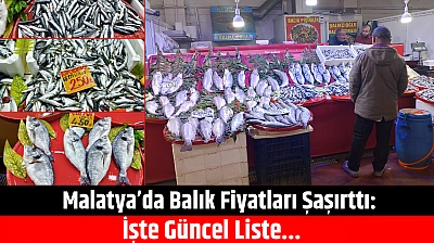 Malatya'da Balık Fiyatları Şaşırttı: İşte Güncel Liste
