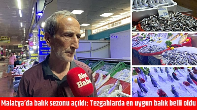 Malatya'da balık sezonu açıldı: Tezgahlarda en uygun balık belli oldu