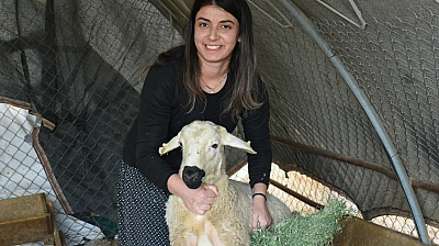 Malatya'da devlet desteğiyle başladı, 3 yılda 250 hayvana ulaştı