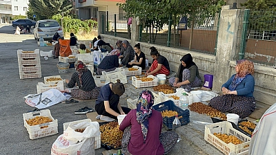 Malatya'da kasa başına 150 TL kazanacaklarken, ceza tehdidiyle karşılaştılar