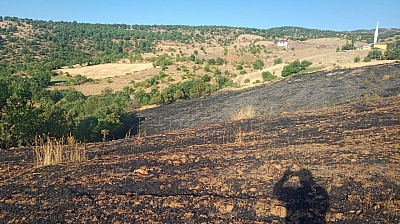 Malatya'da korkutan yangın: 2 ev kül oldu, 20 dönüm bahçe zarar gördü
