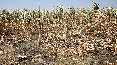 Malatya'da Su Krizine Barajlı Çözüm: İşte Detaylar