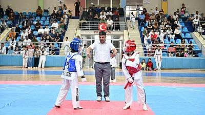 Malatya'da tekvandonun minik yıldızları kıyasıya yarıştı