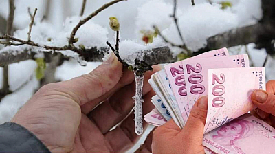 Malatya ve 36 ilde zirai don destekleri artıyor: 6,5 milyar TL daha ödenecek