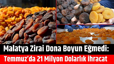 Malatya Zirai Dona Boyun Eğmedi: Temmuz'da 21 Milyon Dolarlık İhracat