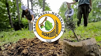 Orman Genel Müdürlüğüne Personel Alımı İçin Geri Sayım Başladı: Mühendis, Şoför ve Büro Memurları Başvuru Yapabilecek...