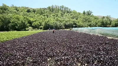 Türkiye'nin huzur veren ilçeleri belli oldu: Listede Malatya'dan da bir ilçe var
