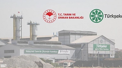 TÜRKŞEKER 182 sürekli işçi alımı başladı: Başvuru şartları ve kontenjan dağılımı
