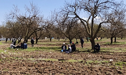 Malatya'da saha araştırması yapılacak: Kayısının kaderi 14 mayısta belli olacak.. 3 Ayda bir rapor sunulacak....