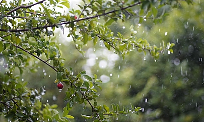 Meteoroloji uyardı: Malatya'da yağışlar durmuyor| Bugün de devam edecek!