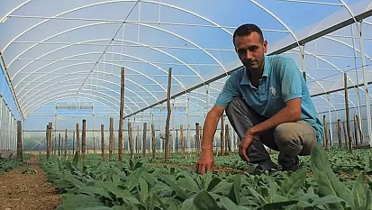 Malatyalı genç çiftçilere müjde! Devletten büyük destek paketi…